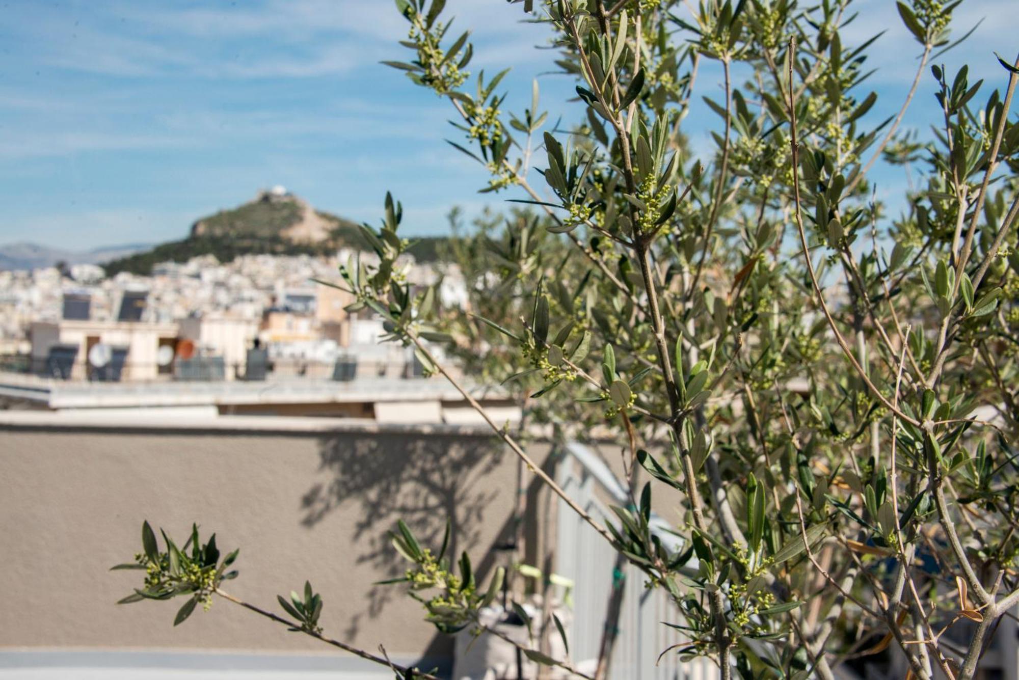 The Athenian Oasis Appartement Buitenkant foto